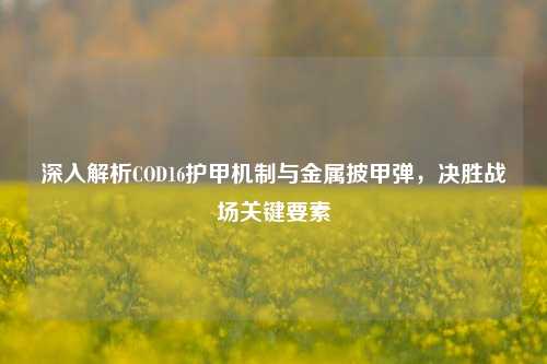 深入解析COD16护甲机制与金属披甲弹,决胜战场关键要素