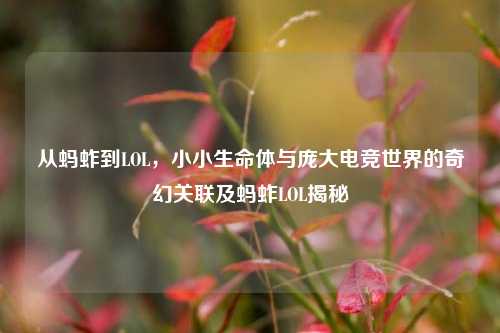 从蚂蚱到LOL，小小生命体与庞大电竞世界的奇幻关联及蚂蚱LOL揭秘