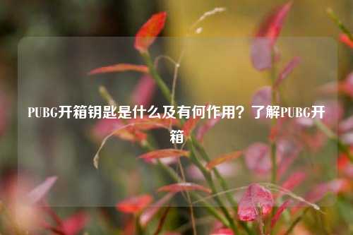 PUBG开箱钥匙是什么及有何作用?了解PUBG开箱