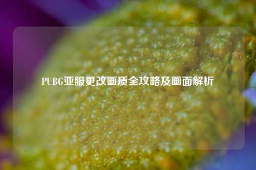 PUBG亚服更改画质全攻略及画面解析