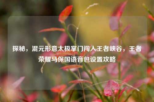 探秘,混元形意太极掌门闯入王者峡谷,王者荣耀马保国语音包设置攻略