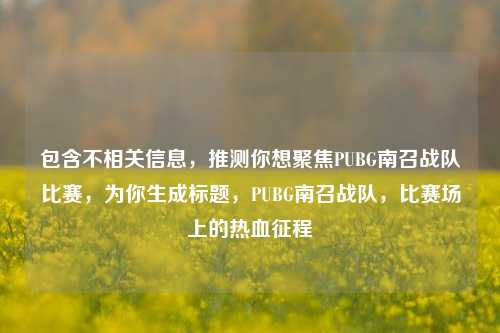 包含不相关信息,推测你想聚焦PUBG南召战队比赛,为你生成标题,PUBG南召战队,比赛场上的热血征程