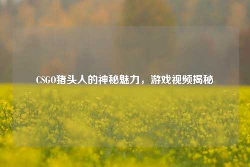 CSGO猪头人的神秘魅力,游戏视频揭秘
