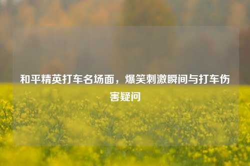 和平精英打车名场面，爆笑刺激瞬间与打车伤害疑问