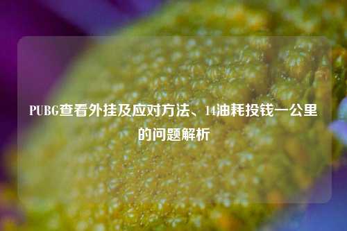 PUBG查看外挂及应对方法、14油耗投钱一公里的问题解析