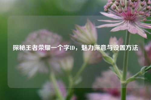 探秘王者荣耀一个字ID,魅力深意与设置方法