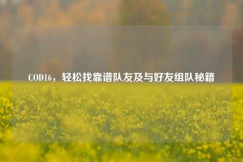 COD16,轻松找靠谱队友及与好友组队秘籍