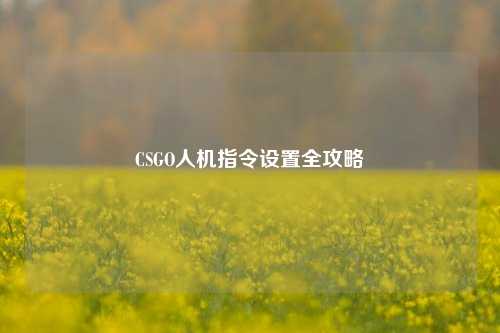 CSGO人机指令设置全攻略