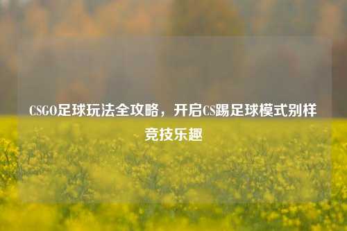 CSGO足球玩法全攻略,开启CS踢足球模式别样竞技乐趣