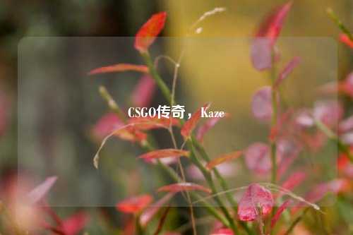 CSGO传奇,Kaze