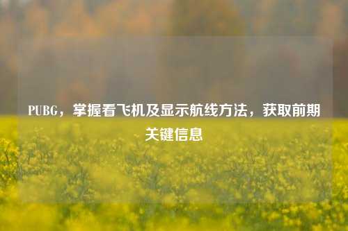 PUBG,掌握看飞机及显示航线方法,获取前期关键信息