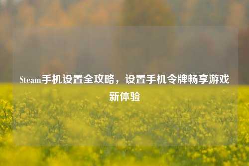 Steam手机设置全攻略,设置手机令牌畅享游戏新体验