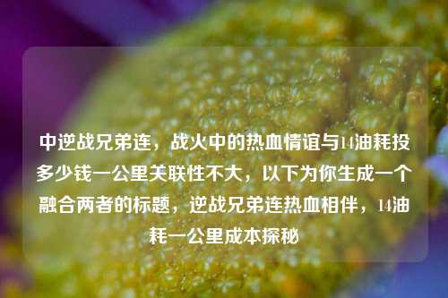 中逆战兄弟连，战火中的热血情谊与14油耗投多少钱一公里关联性不大，以下为你生成一个融合两者的标题，逆战兄弟连热血相伴，14油耗一公里成本探秘