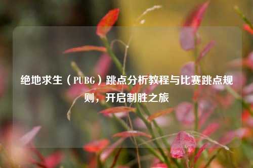 绝地求生（PUBG）跳点分析教程与比赛跳点规则，开启制胜之旅