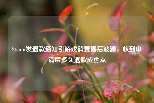 Steam发退款通知引游戏消费售后波澜,收到申请后多久退款成焦点