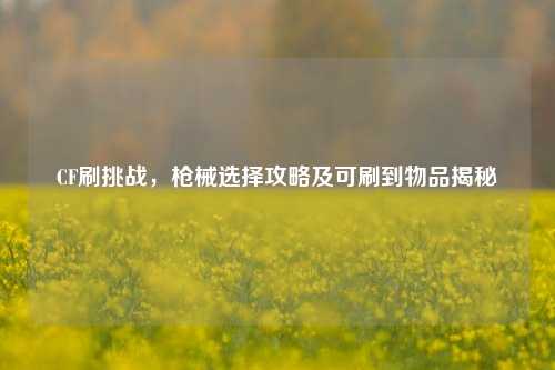 CF刷挑战，枪械选择攻略及可刷到物品揭秘