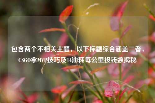 包含两个不相关主题,以下标题综合涵盖二者,CSGO拿MVP技巧及14油耗每公里投钱数揭秘