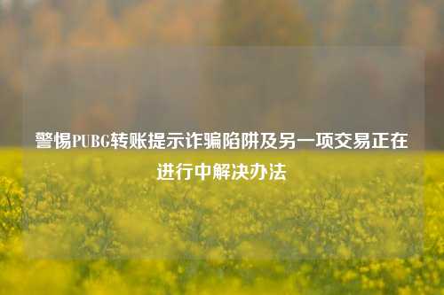 警惕PUBG转账提示诈骗陷阱及另一项交易正在进行中解决办法