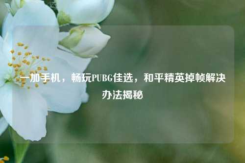 一加手机,畅玩PUBG佳选,和平精英掉帧解决办法揭秘