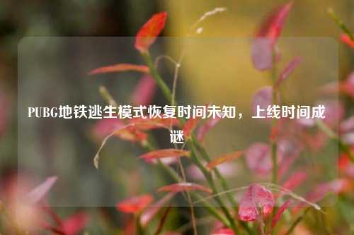 PUBG地铁逃生模式恢复时间未知,上线时间成谜