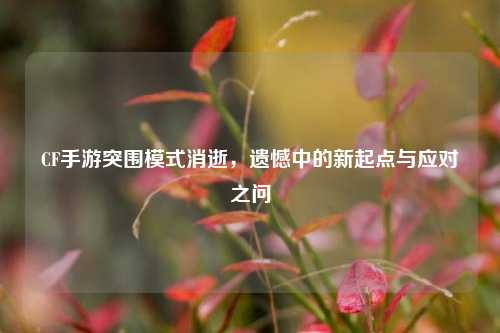 CF手游突围模式消逝,遗憾中的新起点与应对之问