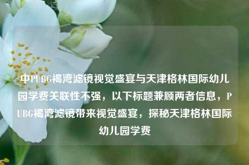 中PUBG褐湾滤镜视觉盛宴与天津格林国际幼儿园学费关联性不强，以下标题兼顾两者信息，PUBG褐湾滤镜带来视觉盛宴，探秘天津格林国际幼儿园学费