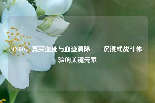 CSGO,真实血迹与血迹清除——沉浸式战斗体验的关键元素