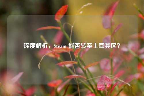 深度解析,Steam 能否转至土耳其区?
