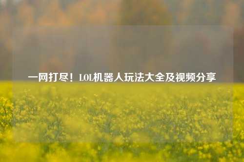 一网打尽!LOL机器人玩法大全及视频分享