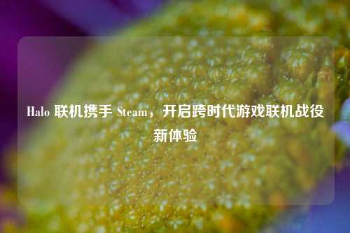 Halo 联机携手 Steam，开启跨时代游戏联机战役新体验