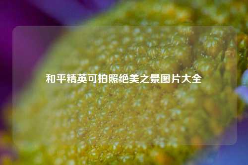 和平精英可拍照绝美之景图片大全