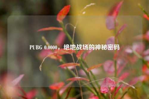 PUBG 0.0000，绝地战场的神秘密码