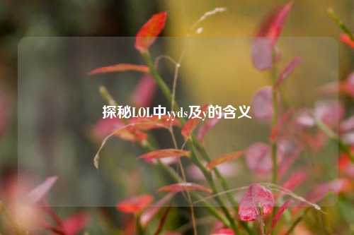 探秘LOL中yyds及y的含义