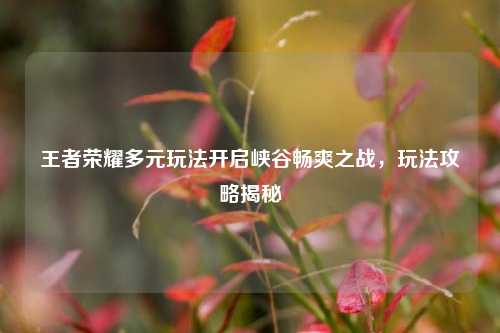 王者荣耀多元玩法开启峡谷畅爽之战，玩法攻略揭秘