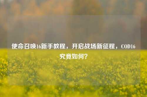 使命召唤16新手教程,开启战场新征程,COD16究竟如何?