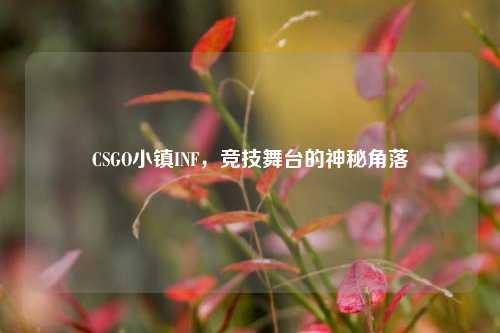 CSGO小镇INF,竞技舞台的神秘角落