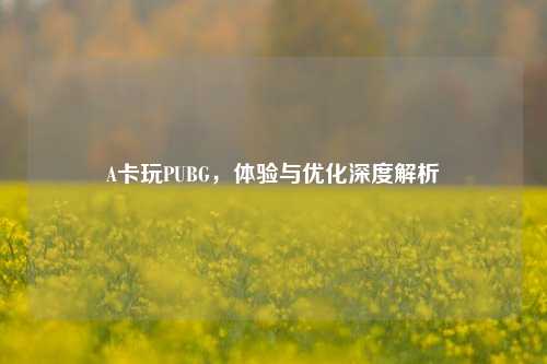 A卡玩PUBG,体验与优化深度解析