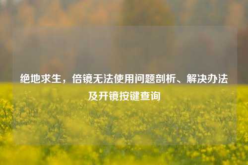 绝地求生,倍镜无法使用问题剖析、解决办法及开镜按键查询