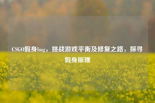 CSGO假身bug,挑战游戏平衡及修复之路,探寻假身原理