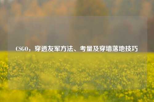 CSGO,穿透友军方法、考量及穿墙落地技巧