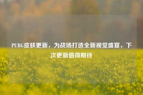 PUBG皮肤更新，为战场打造全新视觉盛宴，下次更新值得期待