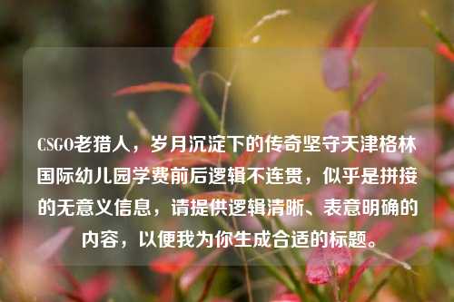 CSGO老猎人，岁月沉淀下的传奇坚守天津格林国际幼儿园学费前后逻辑不连贯，似乎是拼接的无意义信息，请提供逻辑清晰、表意明确的内容，以便我为你生成合适的标题。