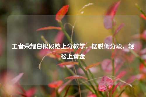 王者荣耀白银段铠上分教学，摆脱低分段，轻松上黄金