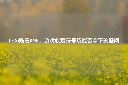 CSGO贴纸RMR,游戏收藏符号及能否拿下的疑问