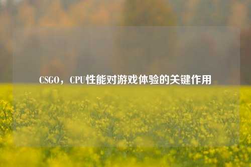 CSGO,CPU性能对游戏体验的关键作用