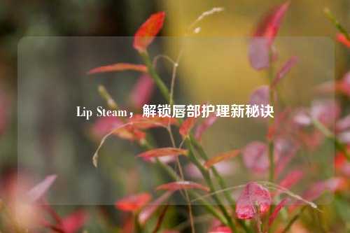 Lip Steam,解锁唇部护理新秘诀
