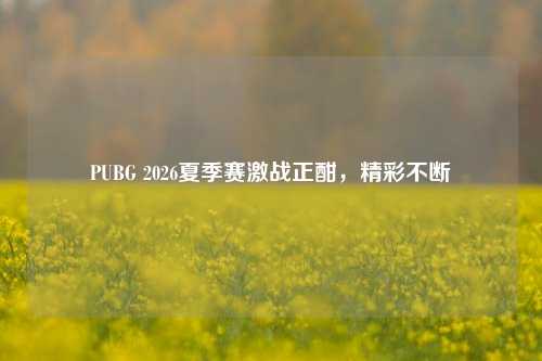 PUBG 2026夏季赛激战正酣,精彩不断