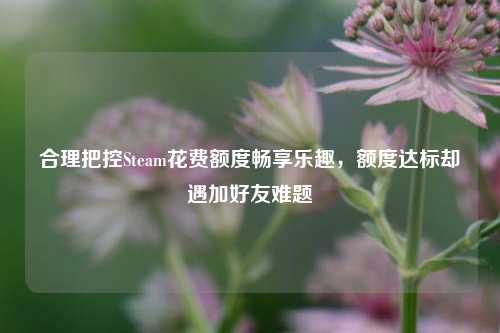 合理把控Steam花费额度畅享乐趣,额度达标却遇加好友难题