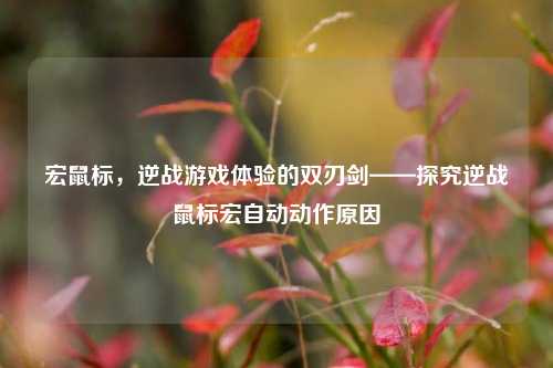 宏鼠标,逆战游戏体验的双刃剑——探究逆战鼠标宏自动动作原因