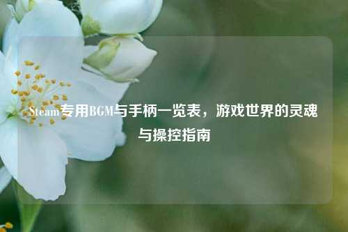 Steam专用BGM与手柄一览表,游戏世界的灵魂与操控指南